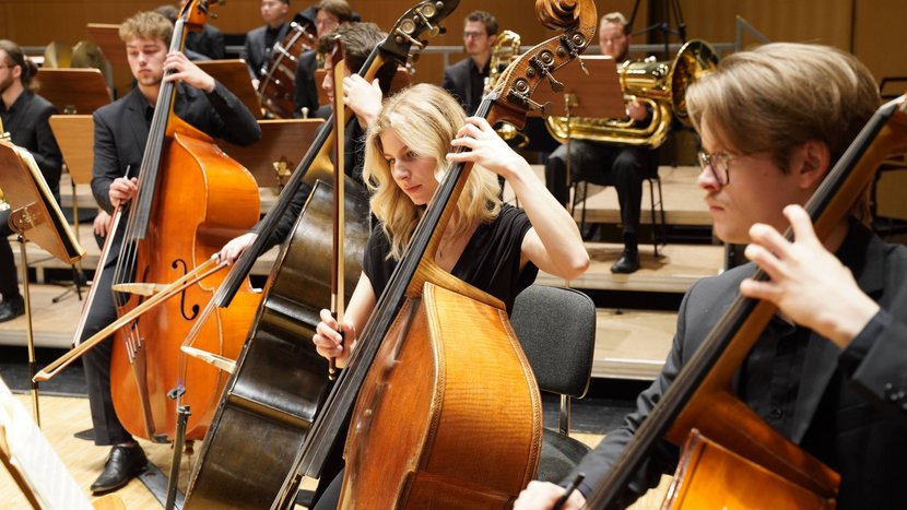 Mehrere Studierende spielen in einem Orchester in einem Konzertsaal